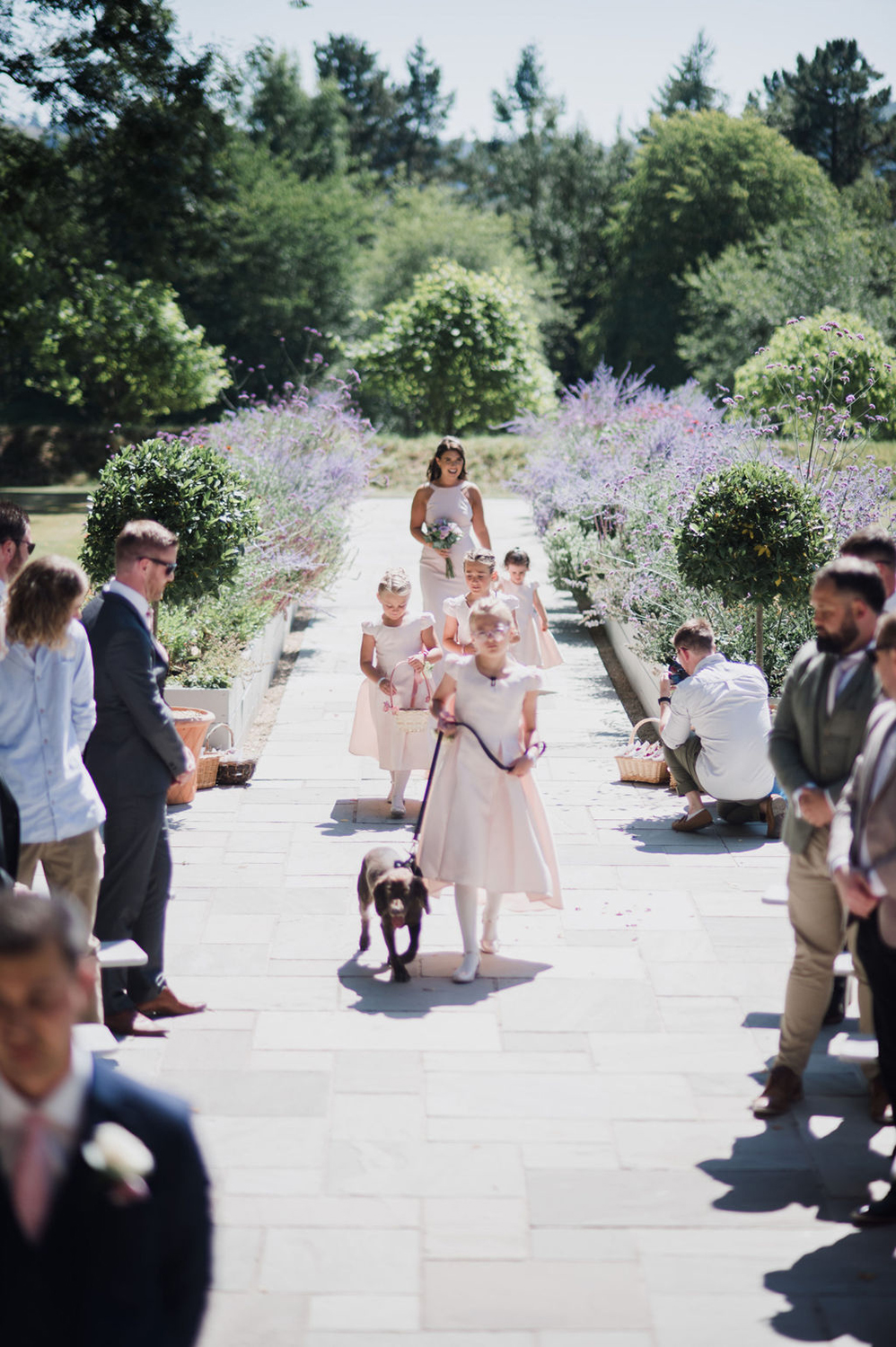 Liberty Pearl Photo & Film Collective Devon Wedding Photography at Deer Park Country House. Family members and dog approaching.